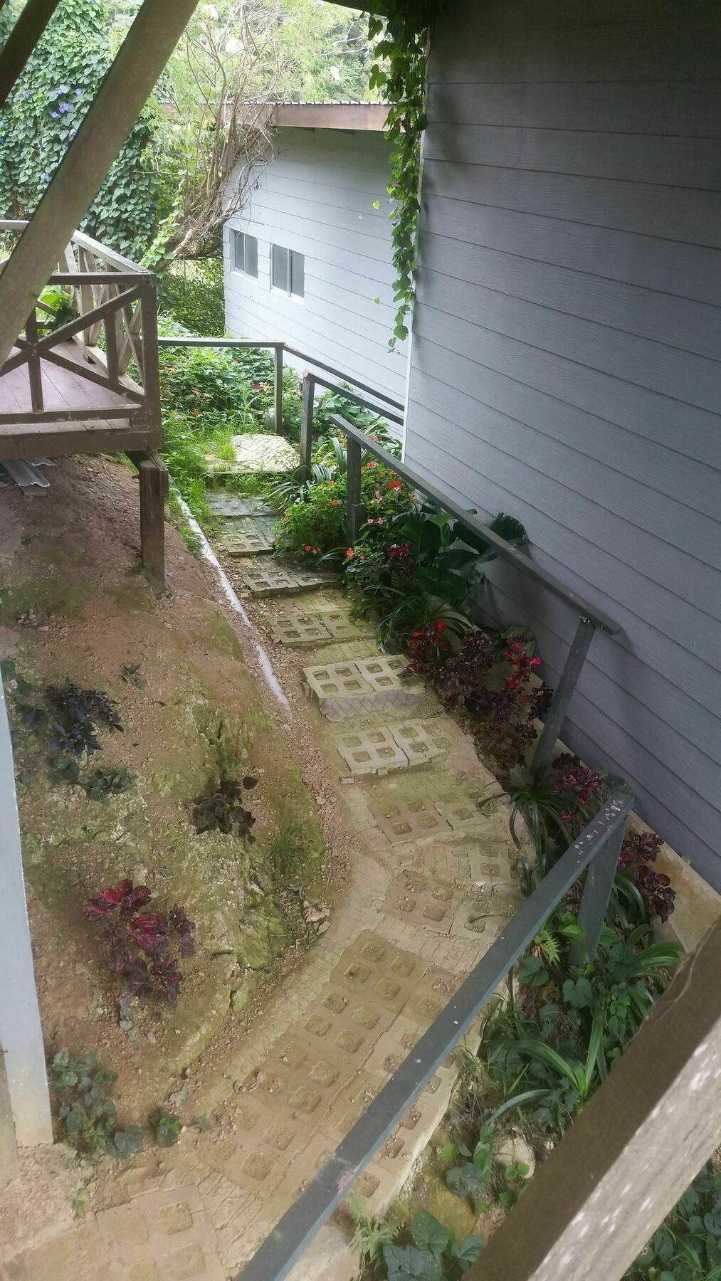 ซีเซอร์ เพลส Motel Kundasang ภายนอก รูปภาพ
